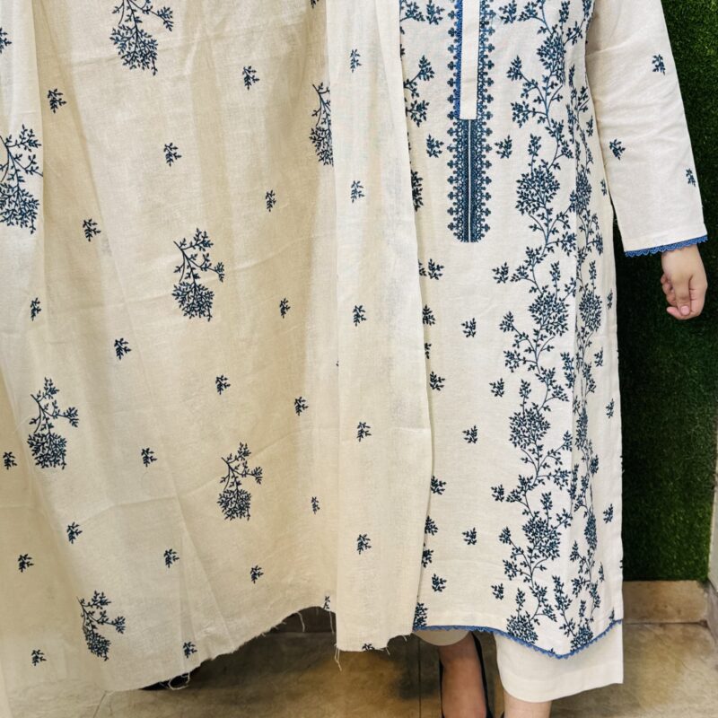 3 PC Printed Embroidery Khaddar Fabric