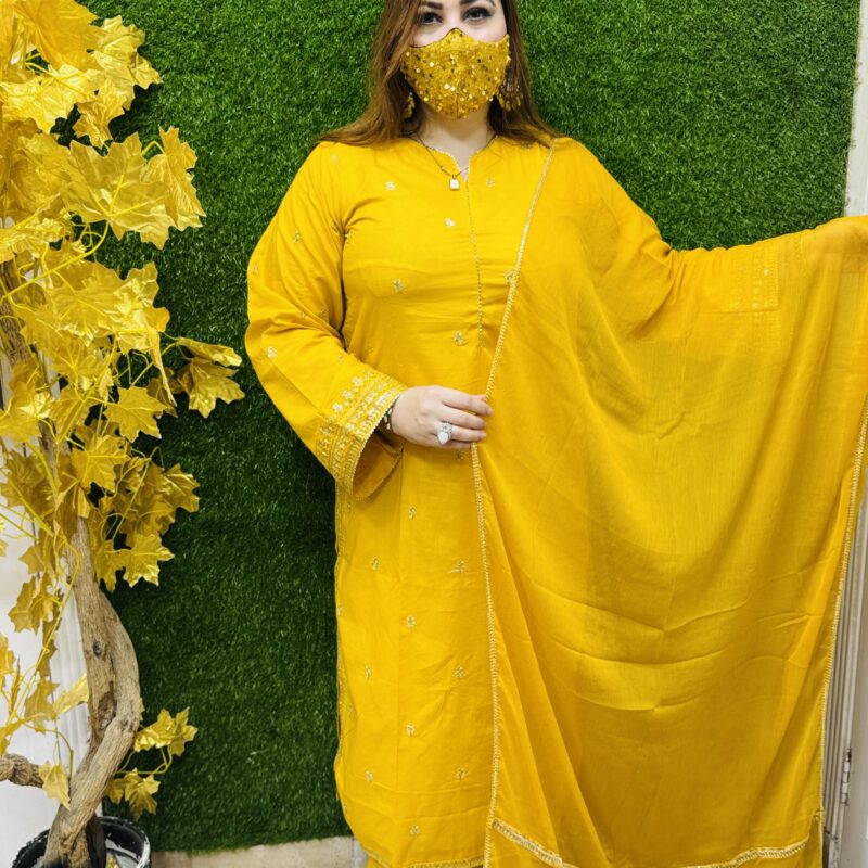 3 PC Embroidery Plain Lawn Fabric