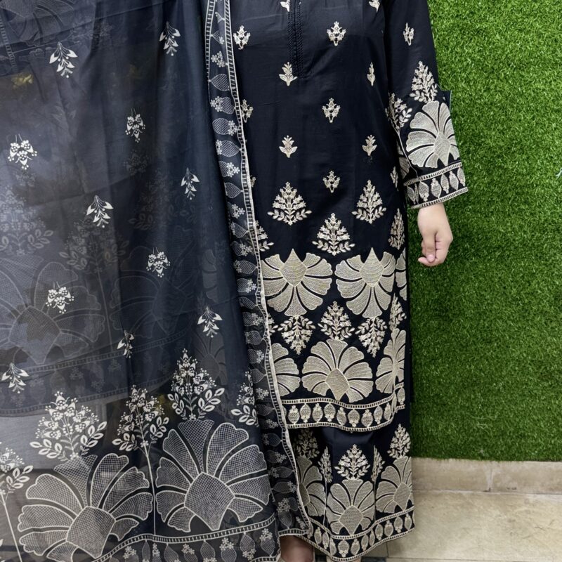 3 PC Embroidery Lawn Fabric