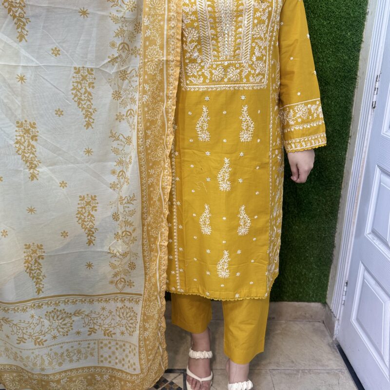 3 PC Embroidery Plain Printed Lawn