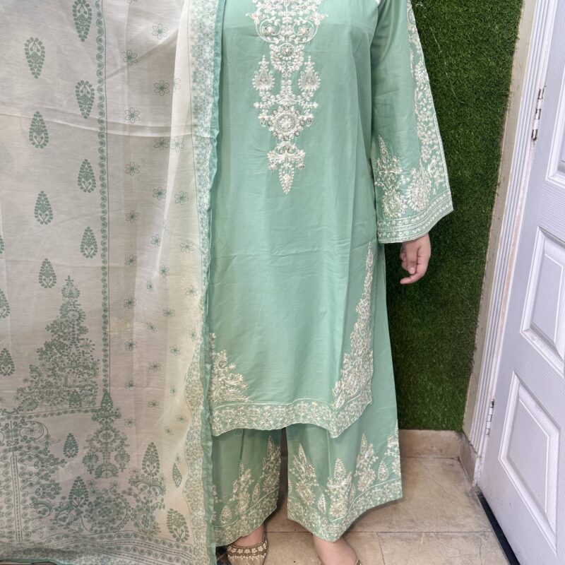 3 PC Embroidery Printed Lawn