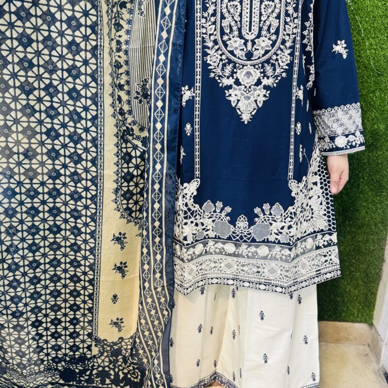 3 PC Embroidery Plain Printed Lawn