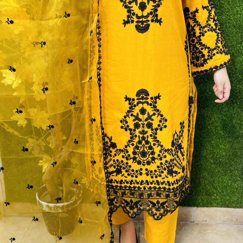 3 PC Embroidery Lawn Cotton