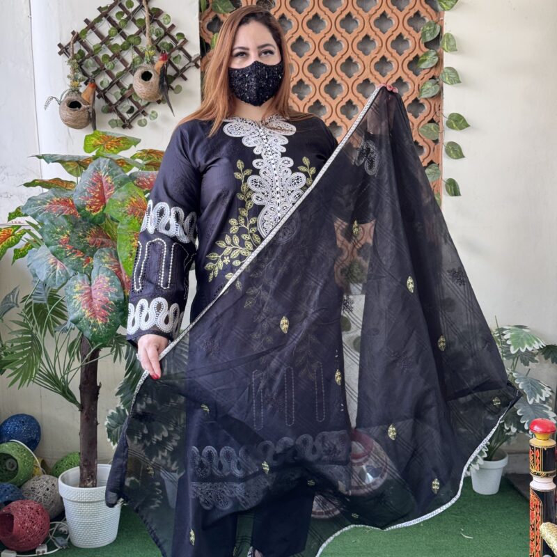 3 PC Embroidery Printed Lawn Fabric